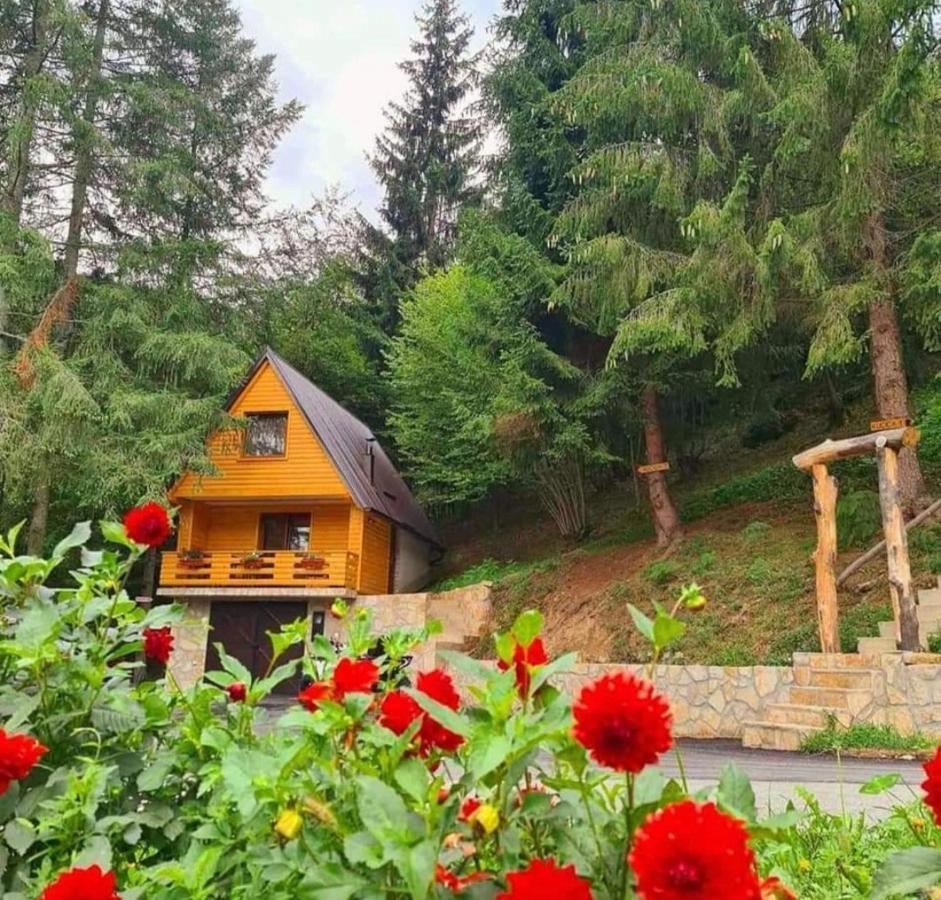Etno Selo Bistrovo Apartment Vitez Bagian luar foto
